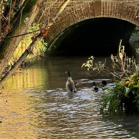 Camping La Roulotte Du Chateau