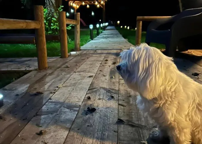 La Roulotte Du Chateau Camping Fatouville-Grestain