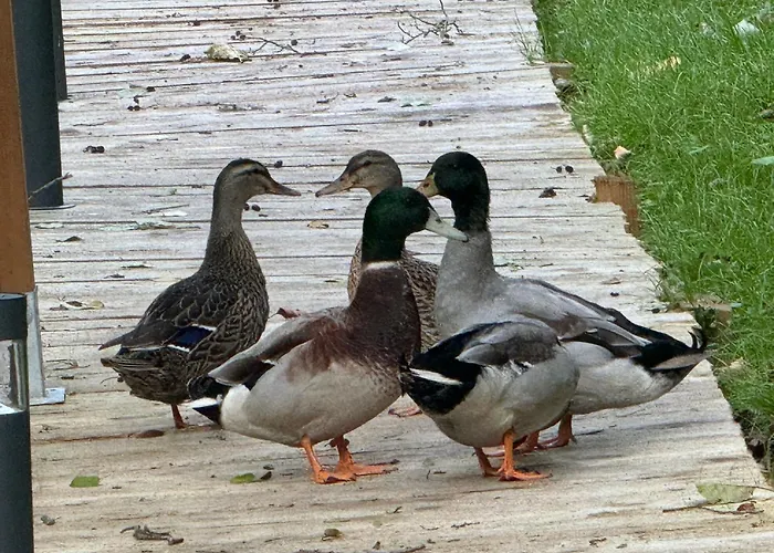 La Roulotte Du Chateau * Fatouville-Grestain