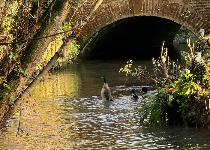 Campsite La Roulotte Du Chateau