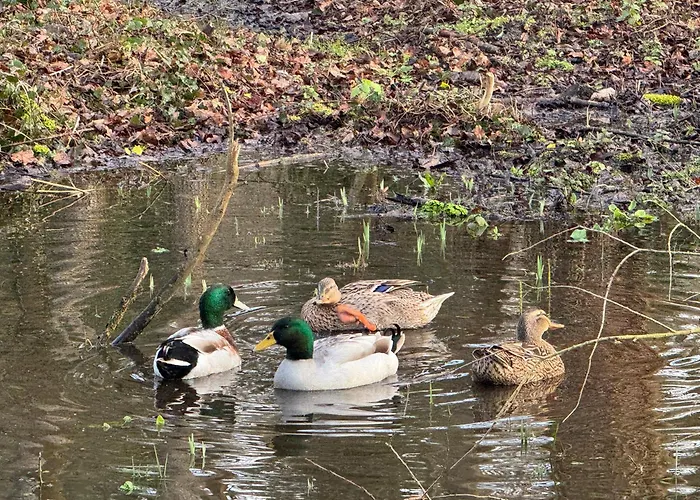 Campsite La Roulotte Du Chateau Fatouville-Grestain