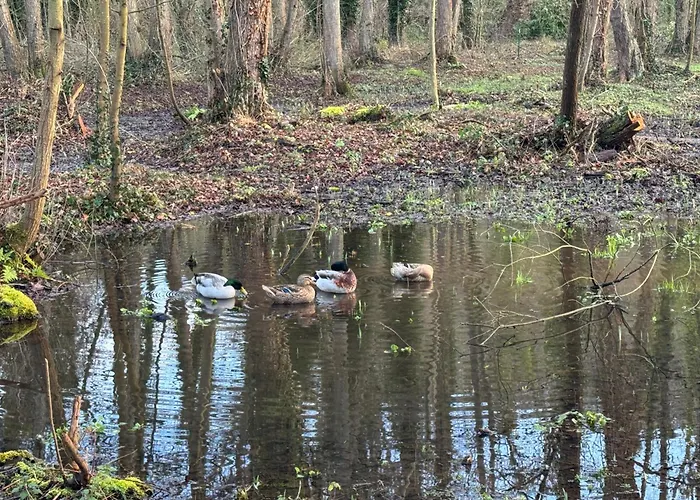La Roulotte Du Chateau Fatouville-Grestain